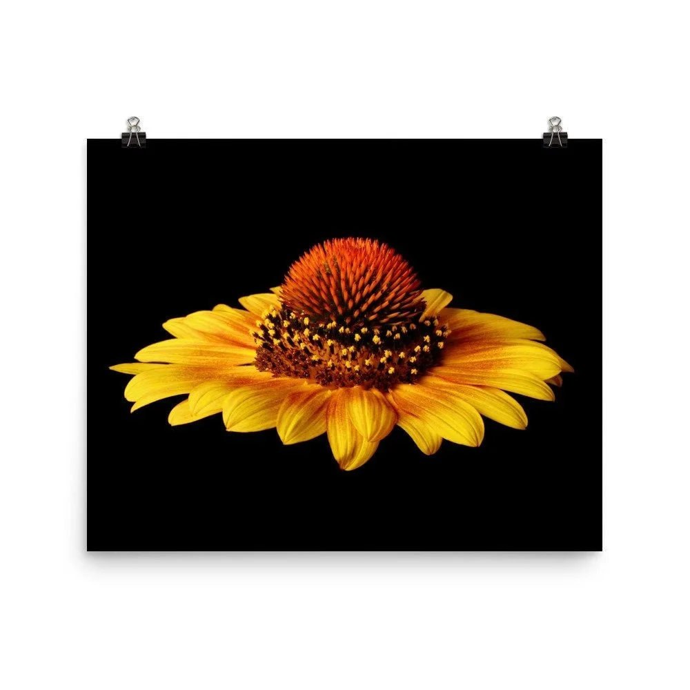 https://i.etsystatic.com/16519884/r/il/42f6d0/2236906082/il_fullxfull.2236906082_1trt.jpg