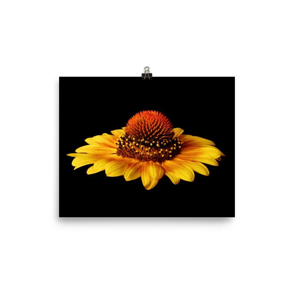 https://i.etsystatic.com/16519884/r/il/05005a/2236904930/il_fullxfull.2236904930_aafq.jpg
