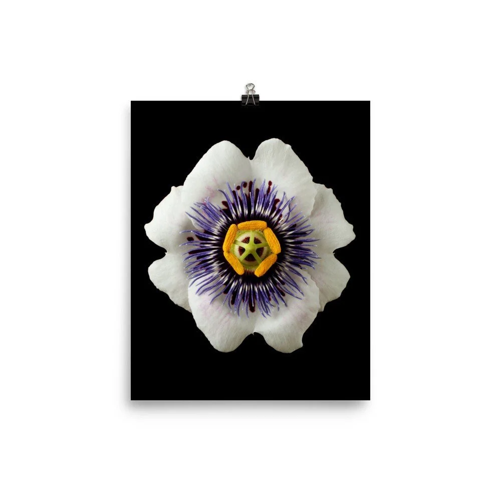 https://i.etsystatic.com/16519884/r/il/3573d1/2286371727/il_fullxfull.2286371727_posc.jpg