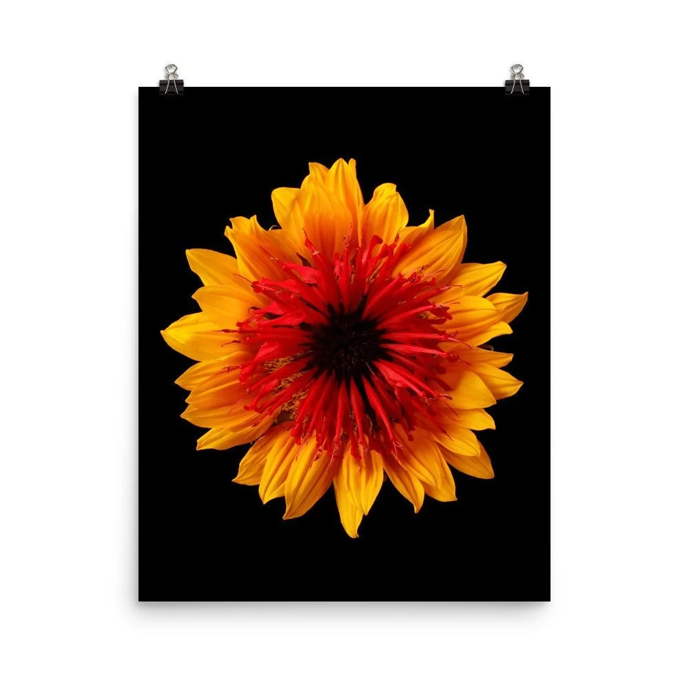 https://i.etsystatic.com/16519884/r/il/f6b69f/2286383527/il_fullxfull.2286383527_fp7p.jpg