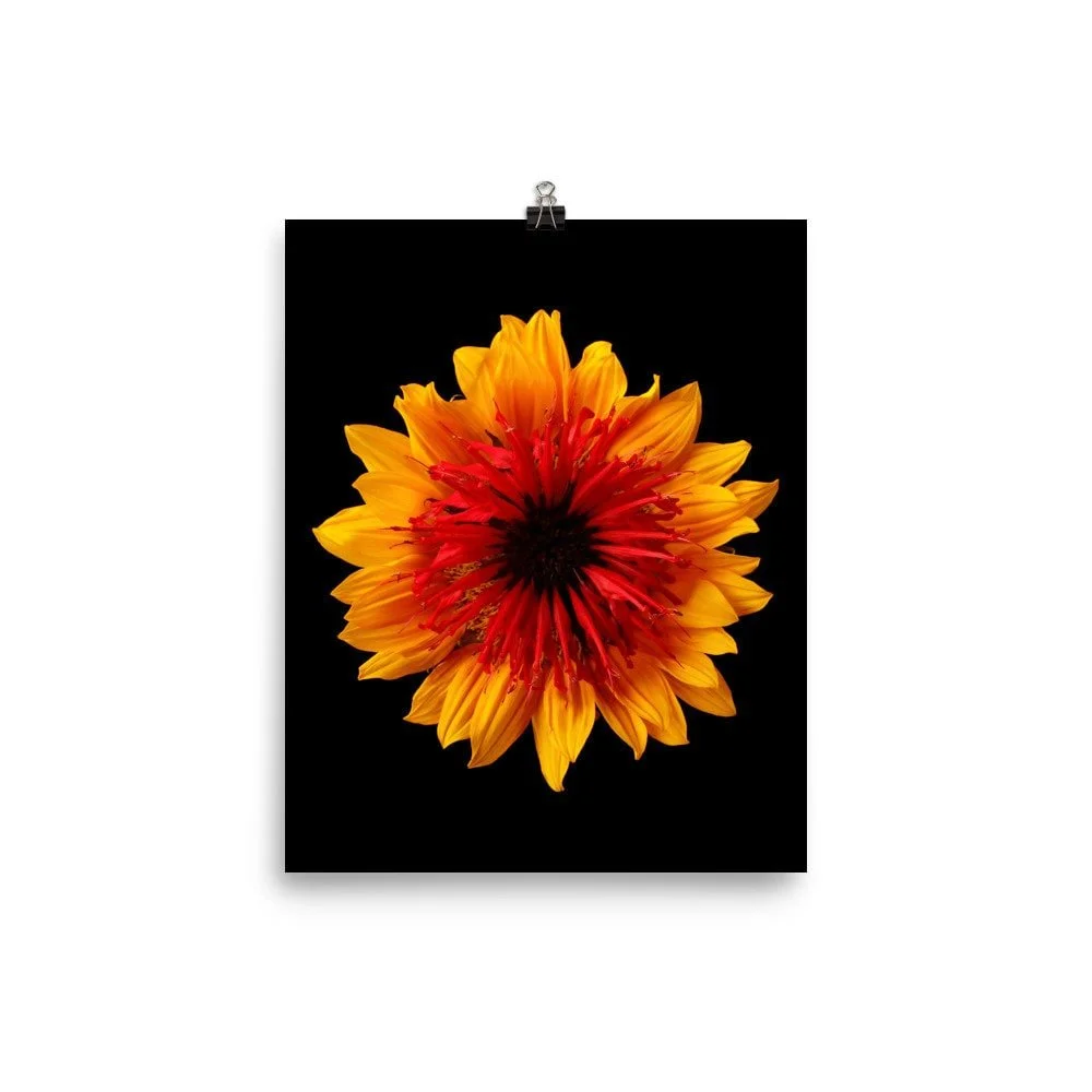 https://i.etsystatic.com/16519884/r/il/69fb3e/2286383163/il_fullxfull.2286383163_7e30.jpg