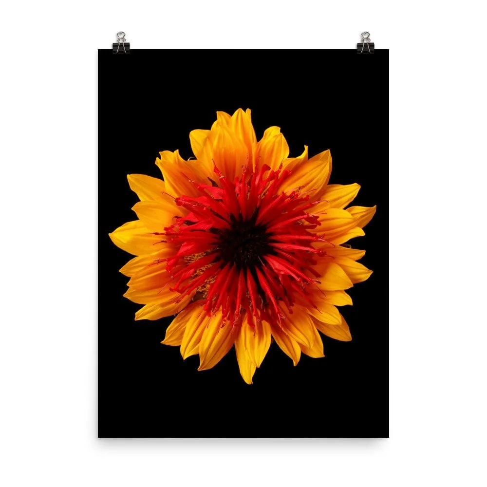 https://i.etsystatic.com/16519884/r/il/18f789/2286383145/il_fullxfull.2286383145_8k5e.jpg