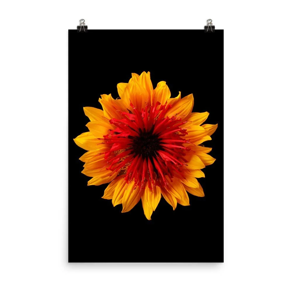 https://i.etsystatic.com/16519884/r/il/709090/2238787282/il_fullxfull.2238787282_4adf.jpg