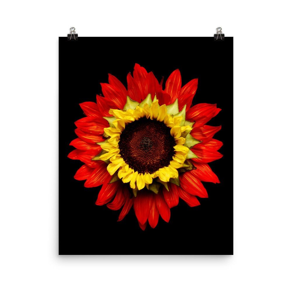 https://i.etsystatic.com/16519884/r/il/ee7d4a/2262997883/il_fullxfull.2262997883_ztv5.jpg