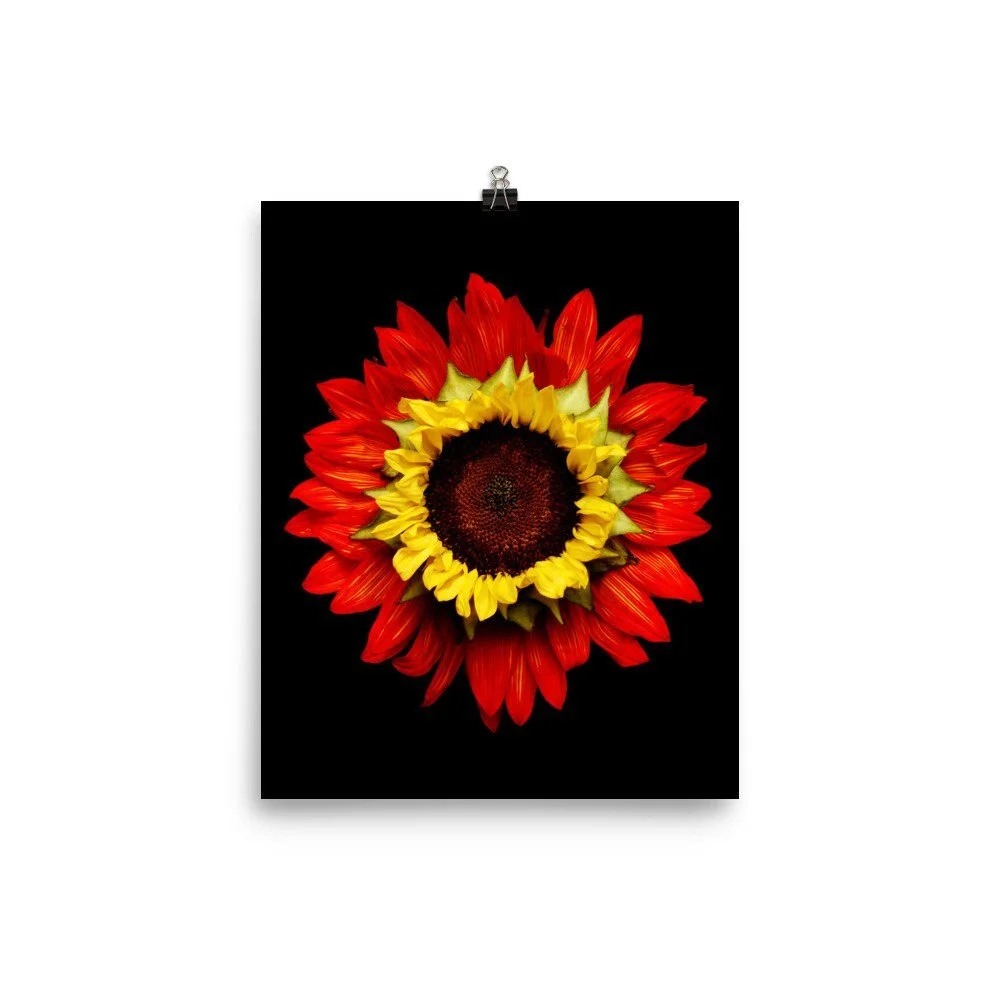 https://i.etsystatic.com/16519884/r/il/d1ea92/2215398380/il_fullxfull.2215398380_lyo0.jpg
