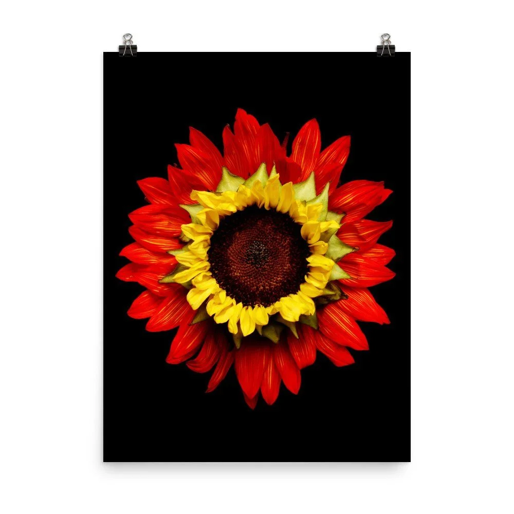 https://i.etsystatic.com/16519884/r/il/332e47/2262997403/il_fullxfull.2262997403_q3hv.jpg