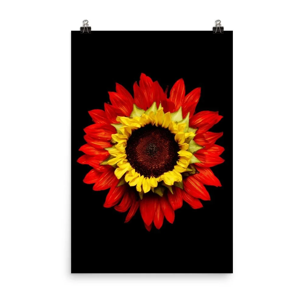 https://i.etsystatic.com/16519884/r/il/5f24af/2262997373/il_fullxfull.2262997373_g7o6.jpg
