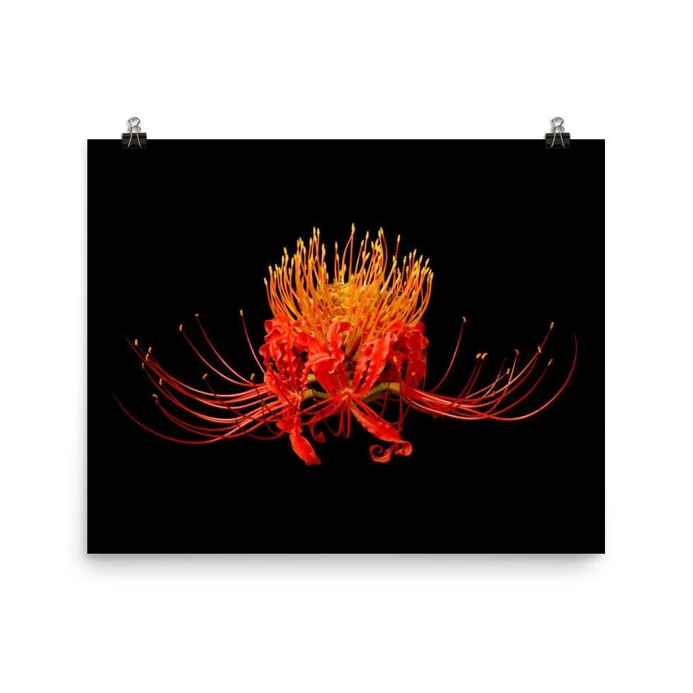 https://i.etsystatic.com/16519884/r/il/a575c4/2217766068/il_fullxfull.2217766068_ny69.jpg