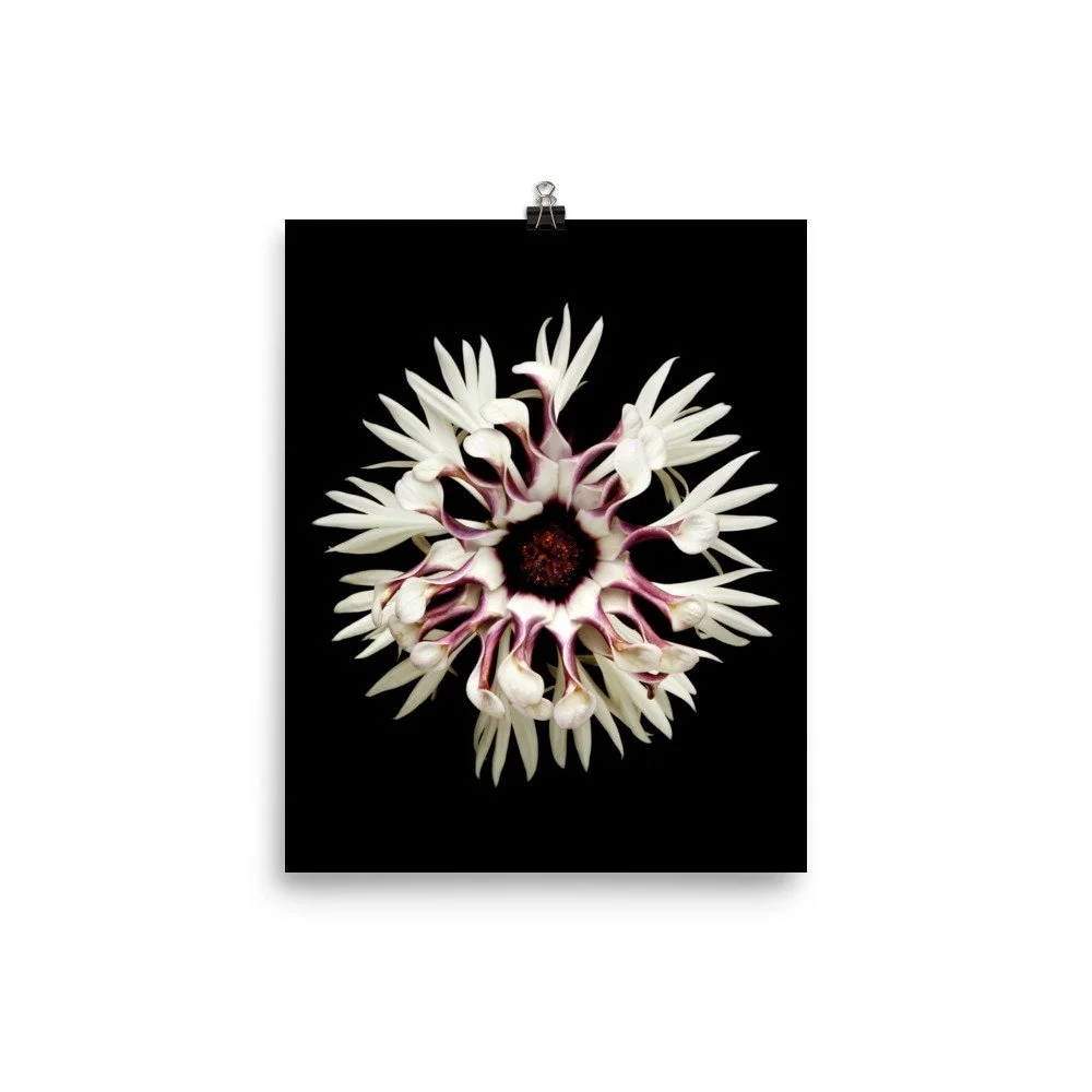 https://i.etsystatic.com/16519884/r/il/b05506/2265408331/il_fullxfull.2265408331_t1mt.jpg