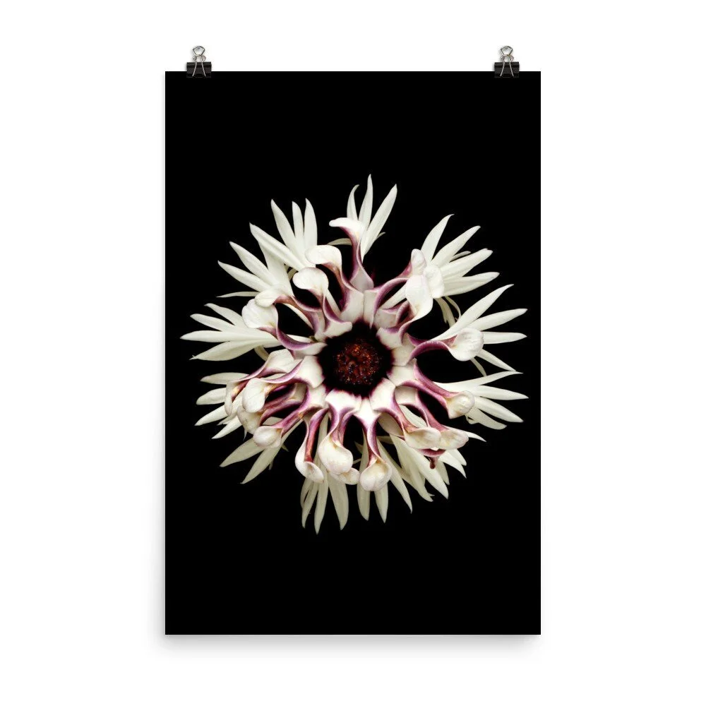 https://i.etsystatic.com/16519884/r/il/d7e4d8/2265408271/il_fullxfull.2265408271_1knn.jpg