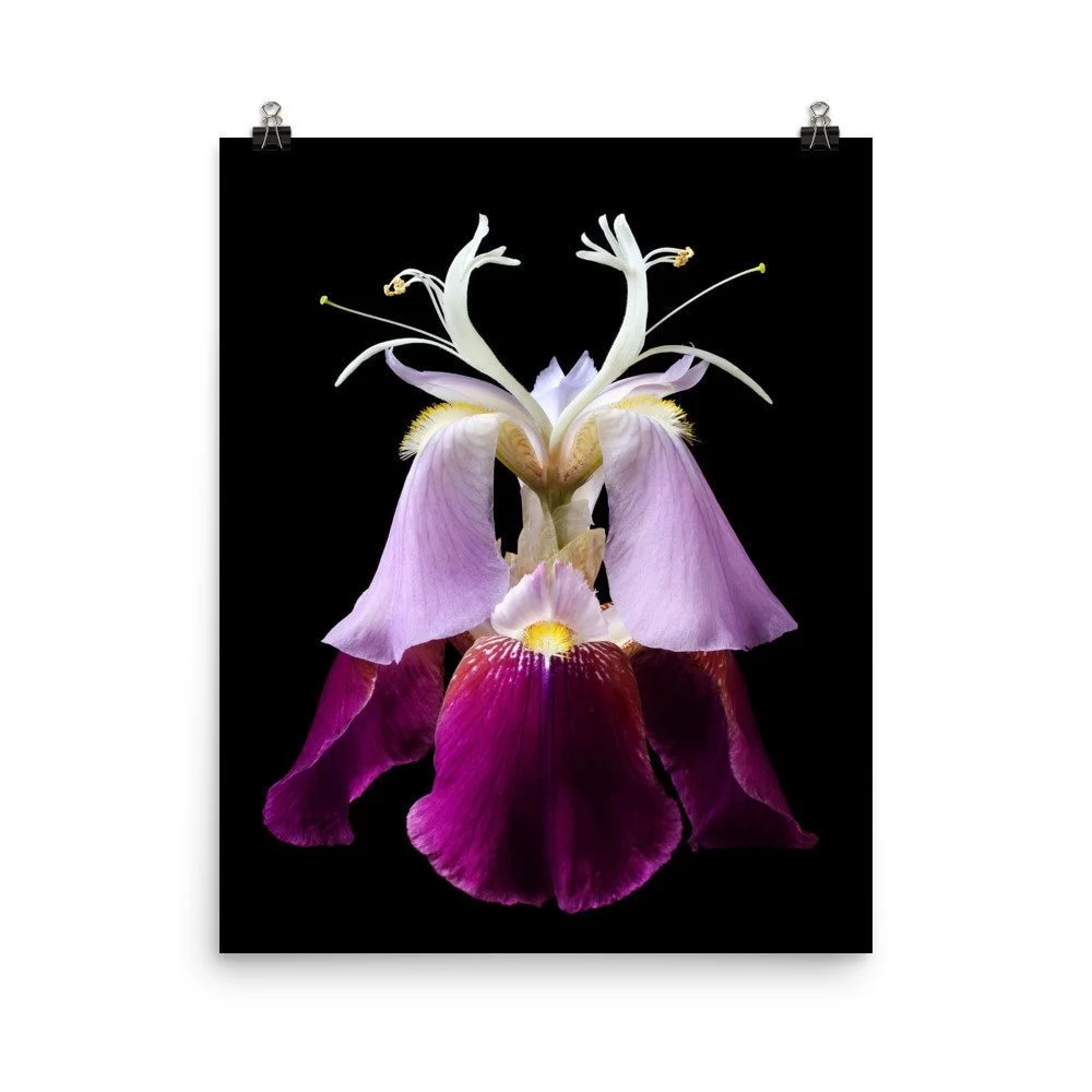 https://i.etsystatic.com/16519884/r/il/06585f/2284424369/il_fullxfull.2284424369_ttu0.jpg