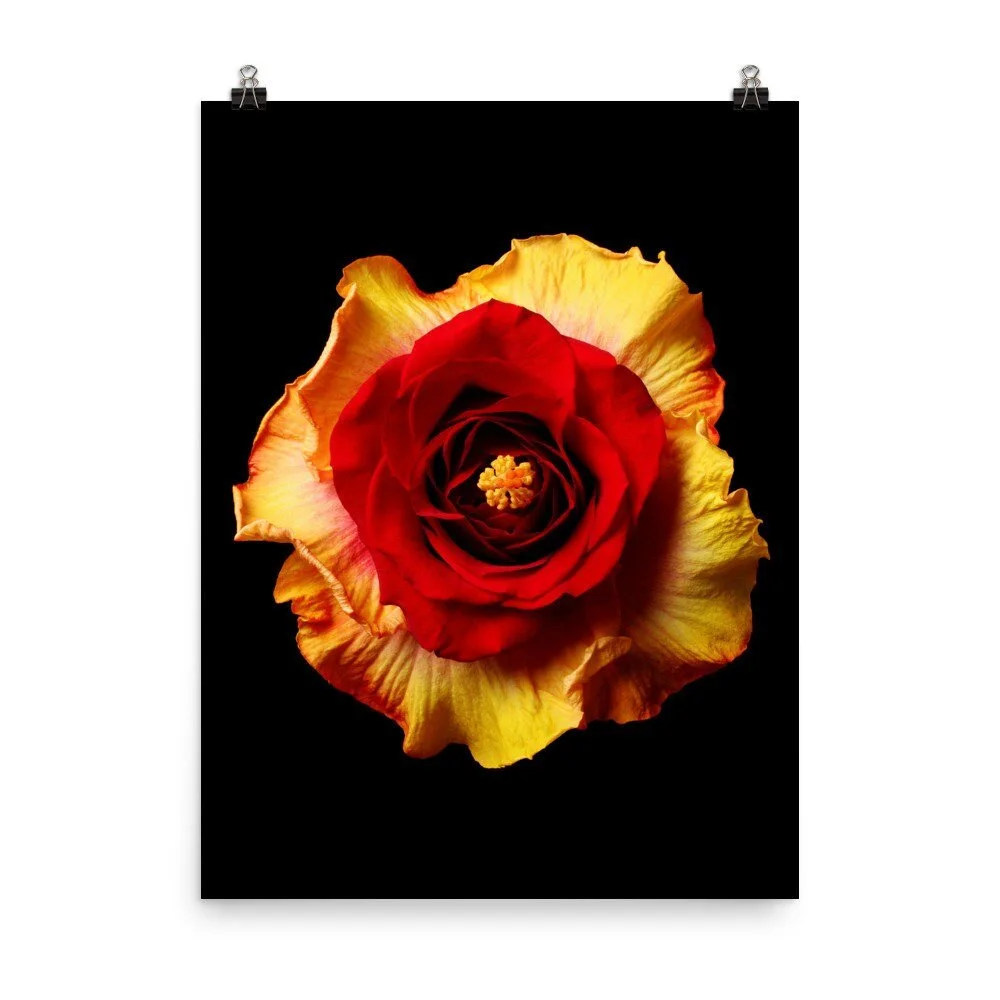 https://i.etsystatic.com/16519884/r/il/27fdf3/2284438833/il_fullxfull.2284438833_7bf8.jpg