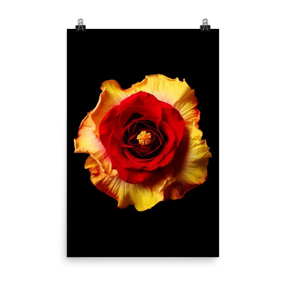 https://i.etsystatic.com/16519884/r/il/30e299/2236840826/il_fullxfull.2236840826_i7gb.jpg