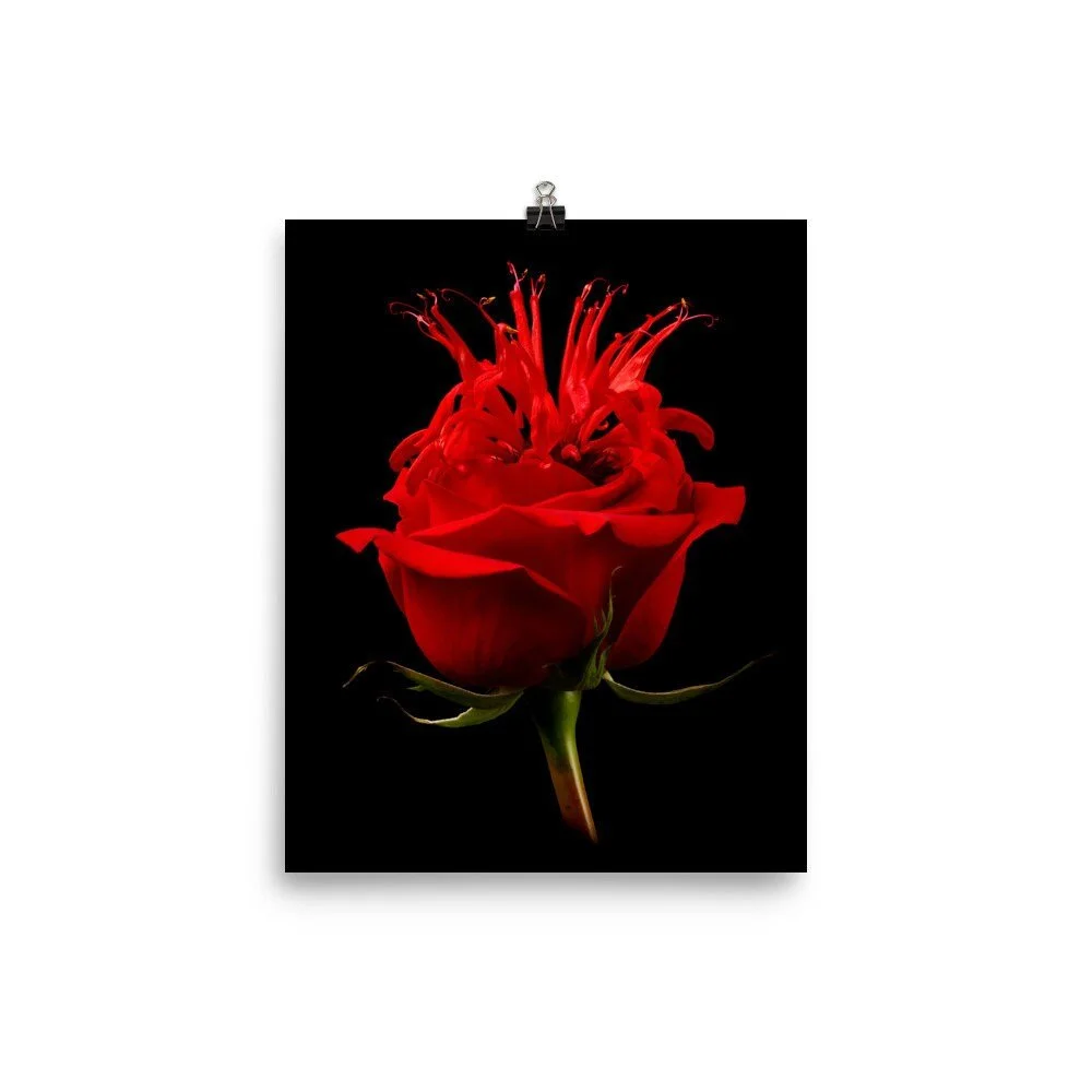 https://i.etsystatic.com/16519884/r/il/032a6f/2237171872/il_fullxfull.2237171872_q7uz.jpg
