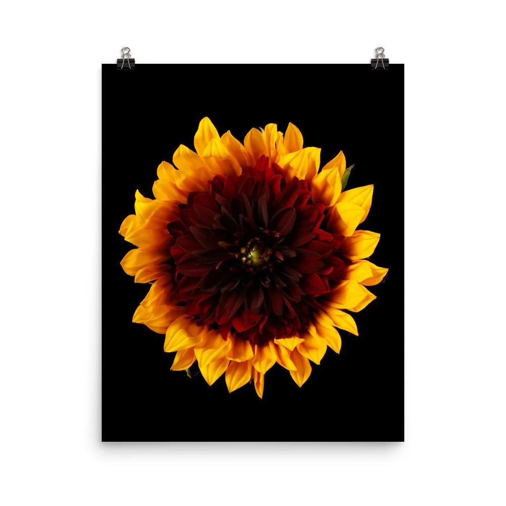 https://i.etsystatic.com/16519884/r/il/4d2566/2238184624/il_fullxfull.2238184624_ikfd.jpg
