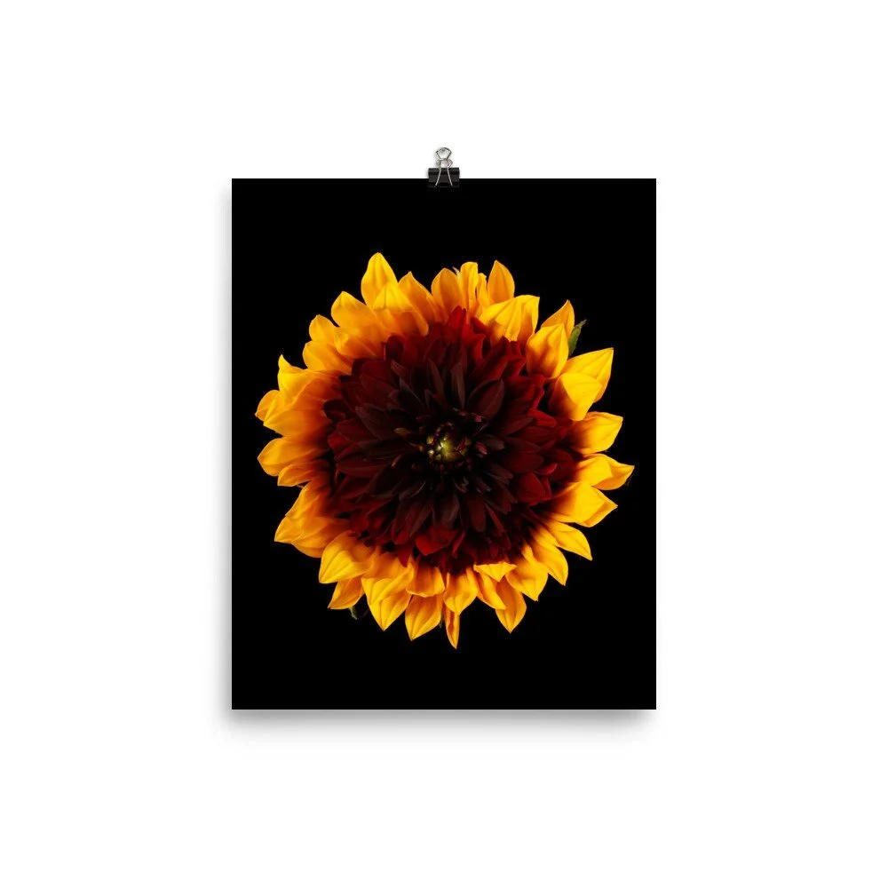 https://i.etsystatic.com/16519884/r/il/01c33c/2285781771/il_fullxfull.2285781771_ozvk.jpg