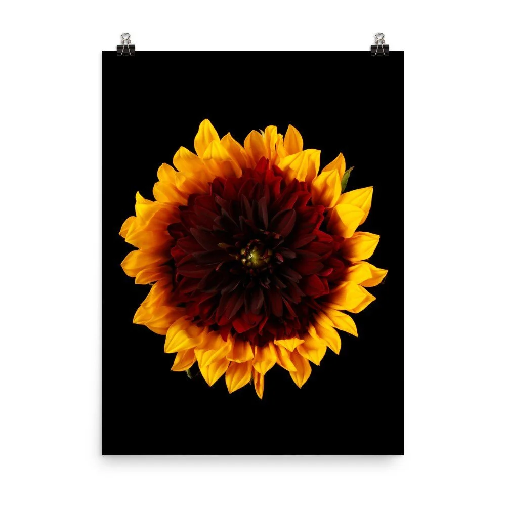 https://i.etsystatic.com/16519884/r/il/db67c2/2285781739/il_fullxfull.2285781739_it5u.jpg