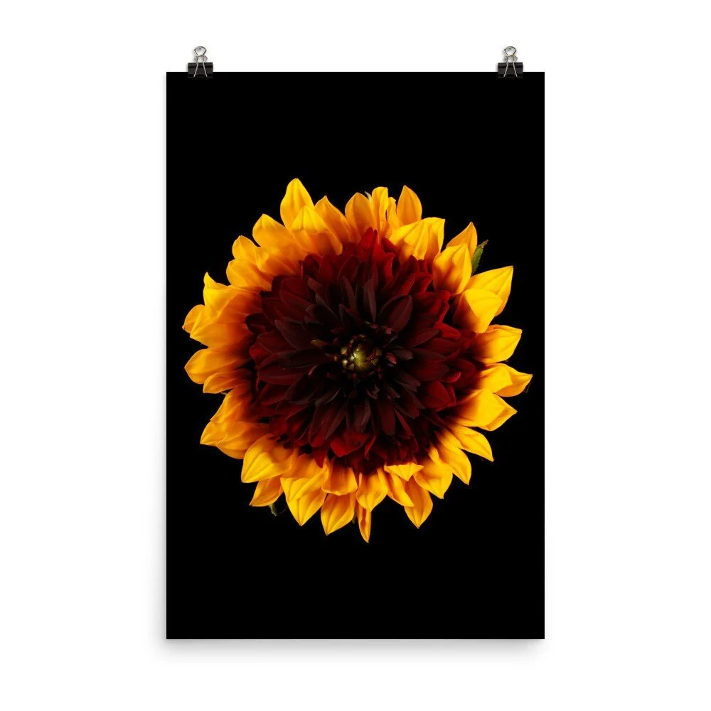https://i.etsystatic.com/16519884/r/il/4c1165/2238183716/il_fullxfull.2238183716_8mww.jpg