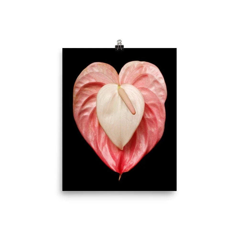 https://i.etsystatic.com/16519884/r/il/e61057/2238200016/il_fullxfull.2238200016_fq3d.jpg