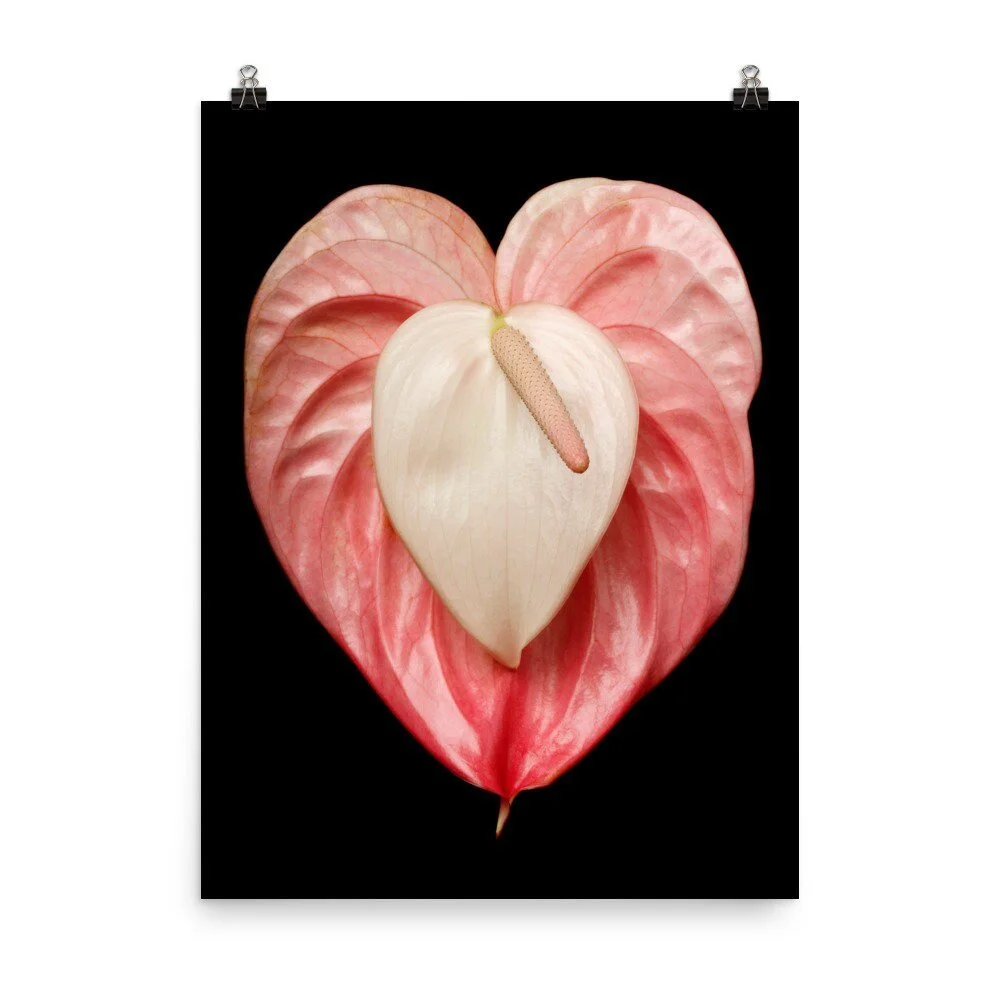 https://i.etsystatic.com/16519884/r/il/47f7df/2238199962/il_fullxfull.2238199962_574r.jpg