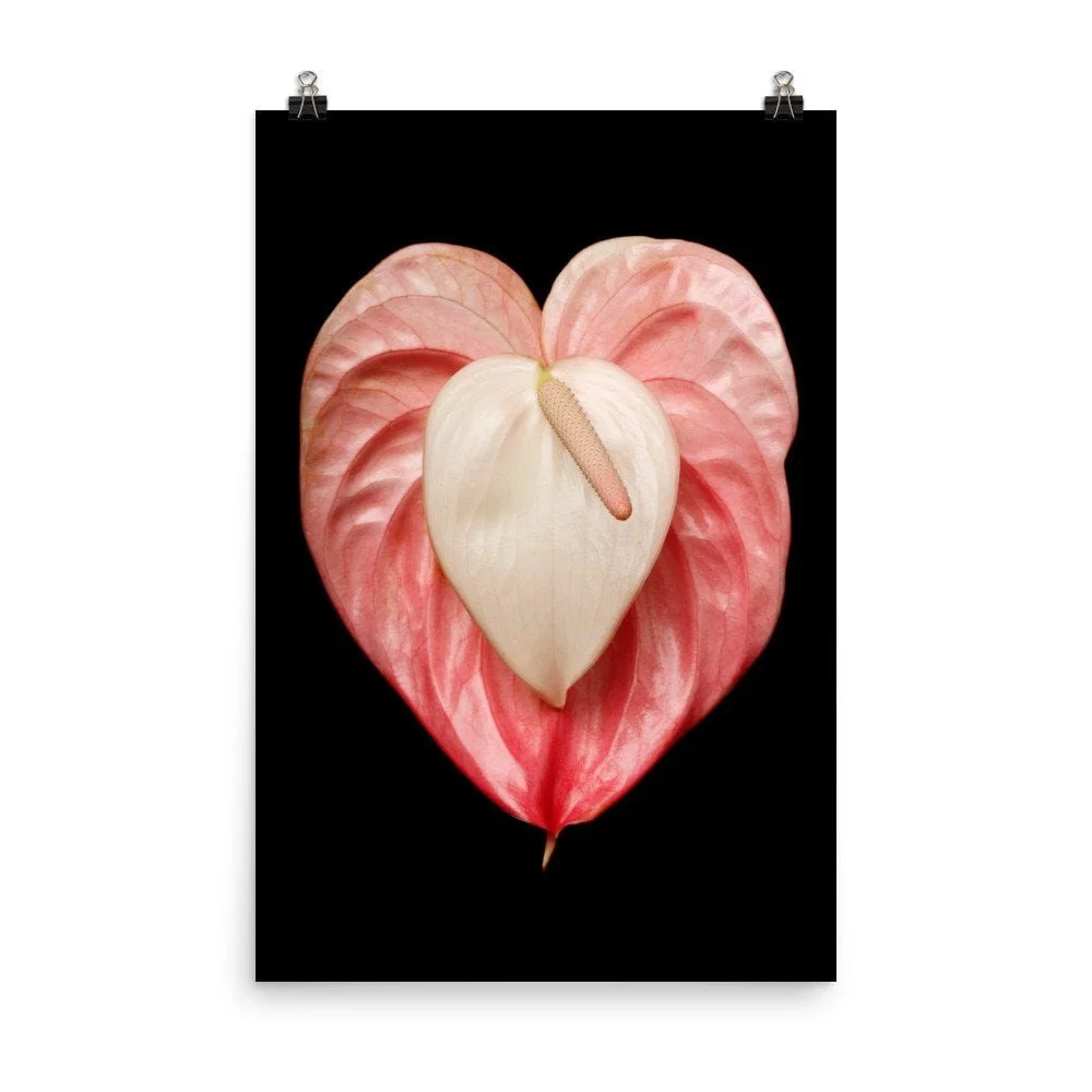 https://i.etsystatic.com/16519884/r/il/eb7476/2238199912/il_fullxfull.2238199912_l8ft.jpg