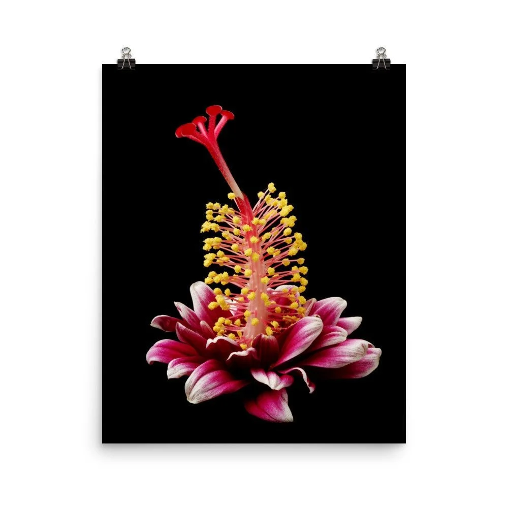 https://i.etsystatic.com/16519884/r/il/9cecdd/2238529412/il_fullxfull.2238529412_kxkw.jpg