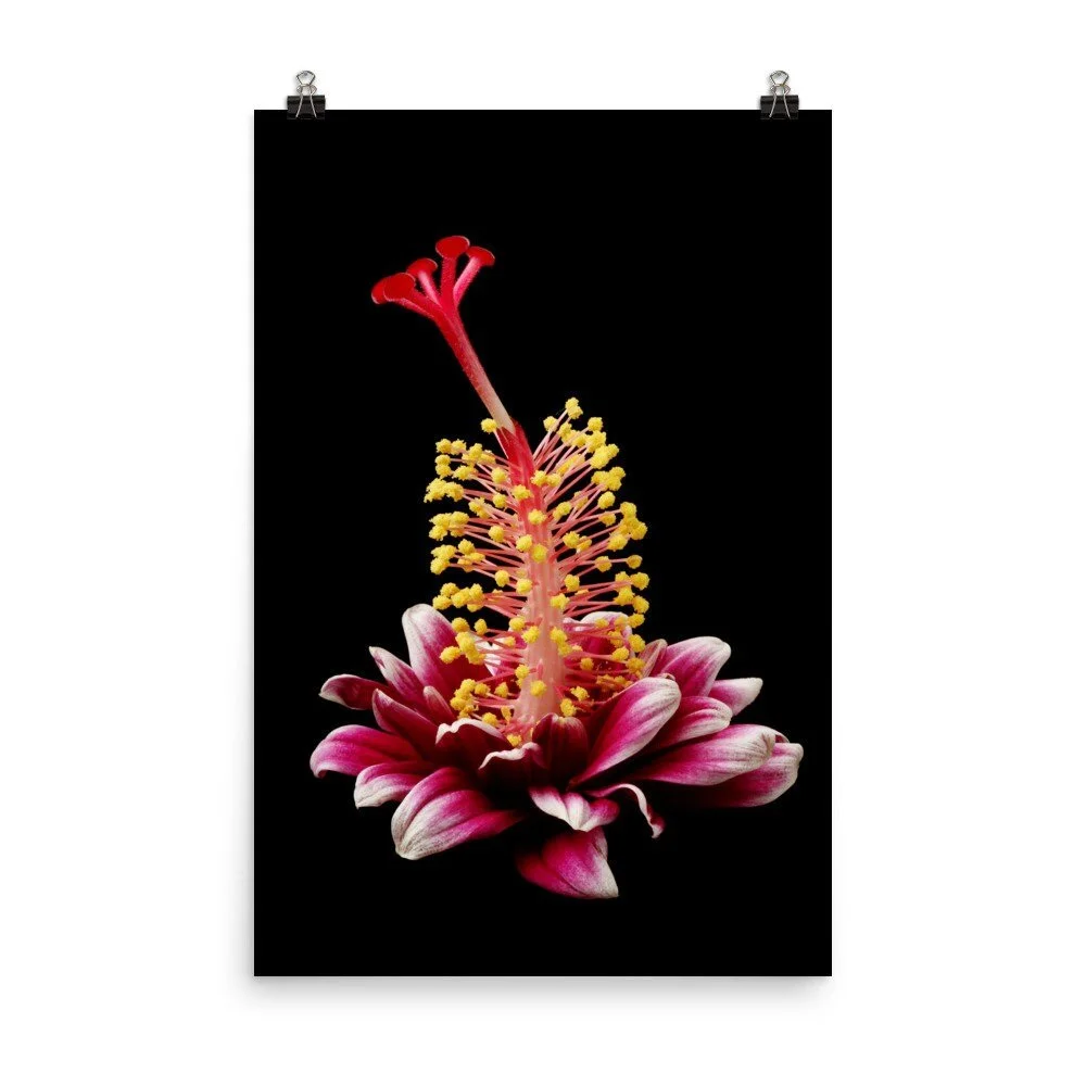 https://i.etsystatic.com/16519884/r/il/f159d6/2286125029/il_fullxfull.2286125029_7p8t.jpg