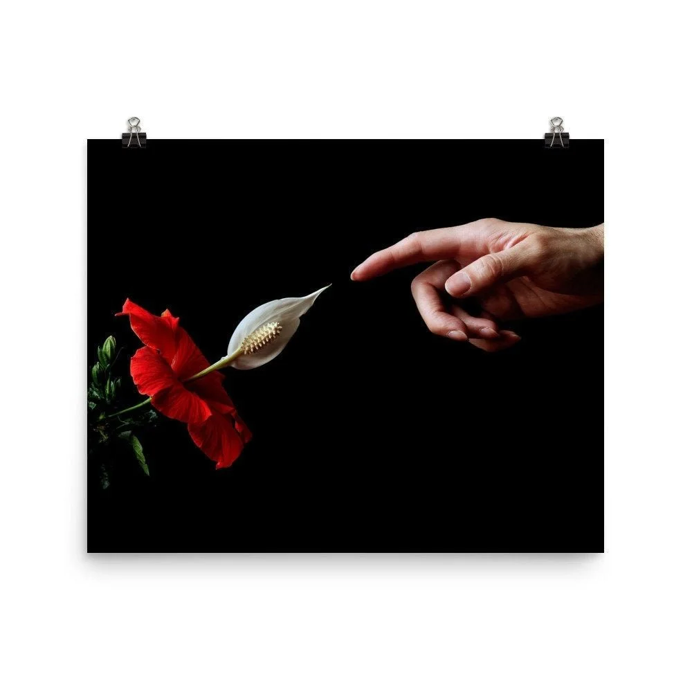 https://i.etsystatic.com/16519884/r/il/0d7cdf/2476192719/il_fullxfull.2476192719_lu3c.jpg