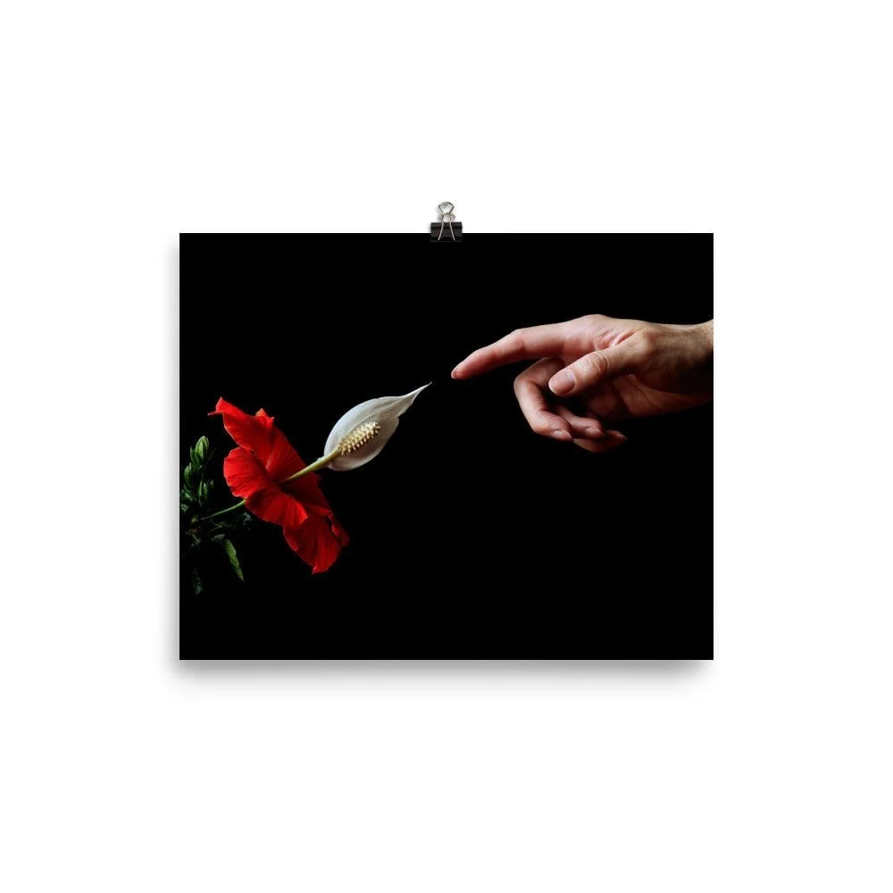 https://i.etsystatic.com/16519884/r/il/e2a9e1/2398407784/il_fullxfull.2398407784_d7zd.jpg