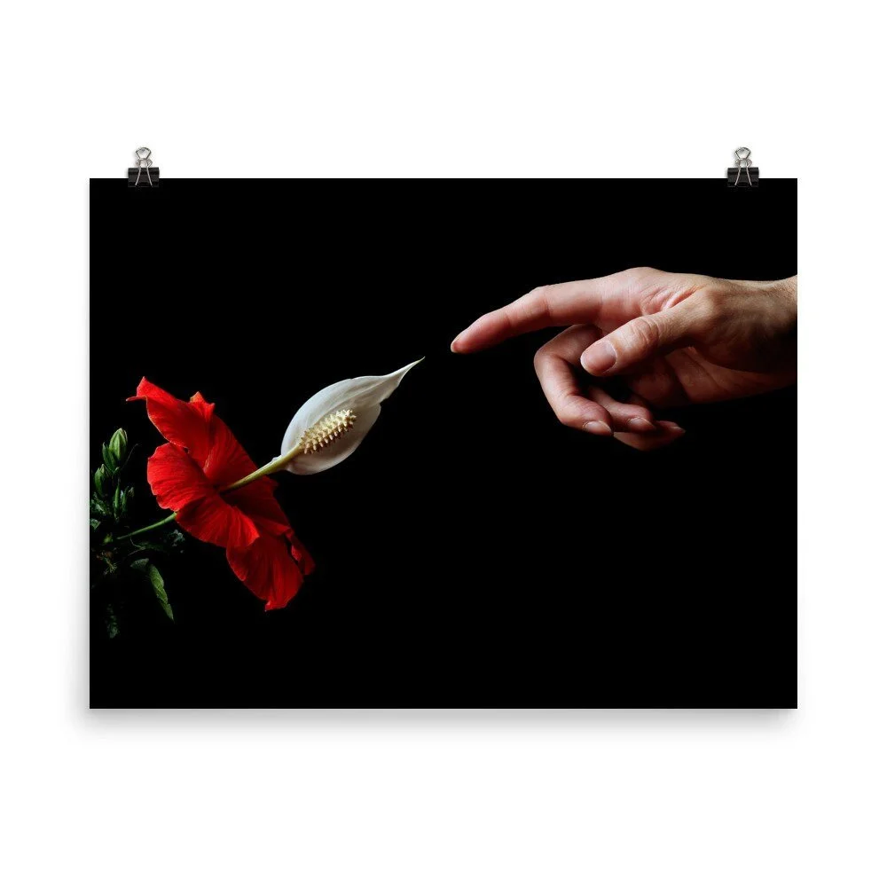 https://i.etsystatic.com/16519884/r/il/08049f/2398407744/il_fullxfull.2398407744_604j.jpg