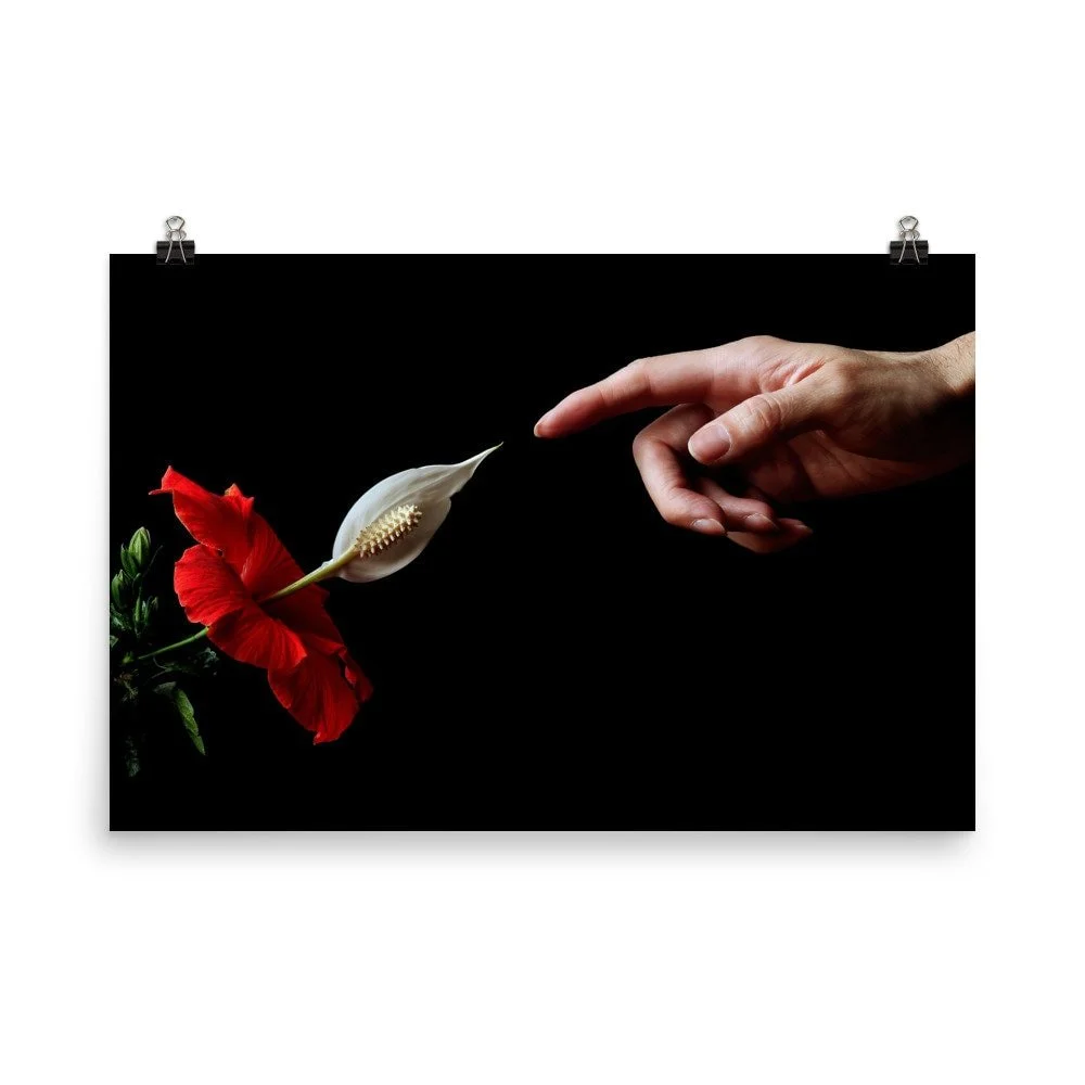 https://i.etsystatic.com/16519884/r/il/a04e3c/2398407672/il_fullxfull.2398407672_eol3.jpg