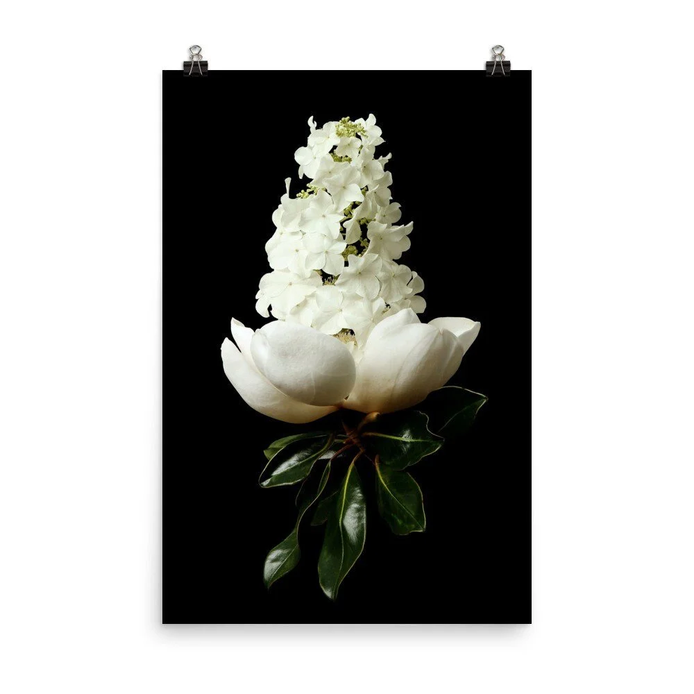 https://i.etsystatic.com/16519884/r/il/060f14/2400658068/il_fullxfull.2400658068_7qzx.jpg
