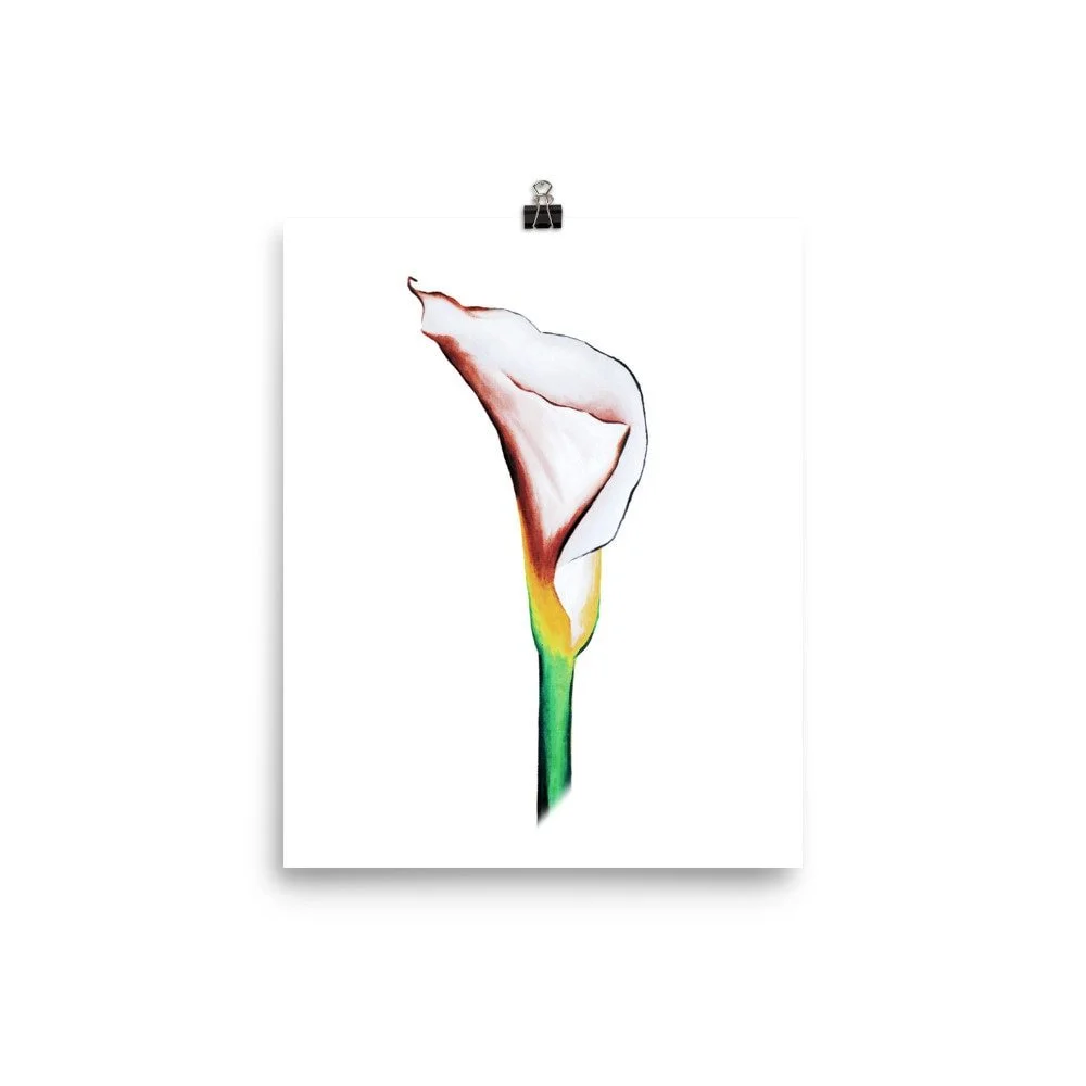 https://i.etsystatic.com/16519884/r/il/285c58/2273537922/il_fullxfull.2273537922_9yaq.jpg