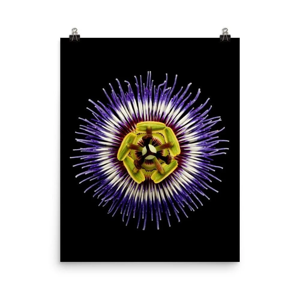 https://i.etsystatic.com/16519884/r/il/9c71d6/2216926768/il_fullxfull.2216926768_d7u8.jpg