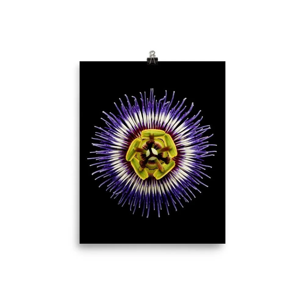 https://i.etsystatic.com/16519884/r/il/01be4a/2264519931/il_fullxfull.2264519931_j435.jpg