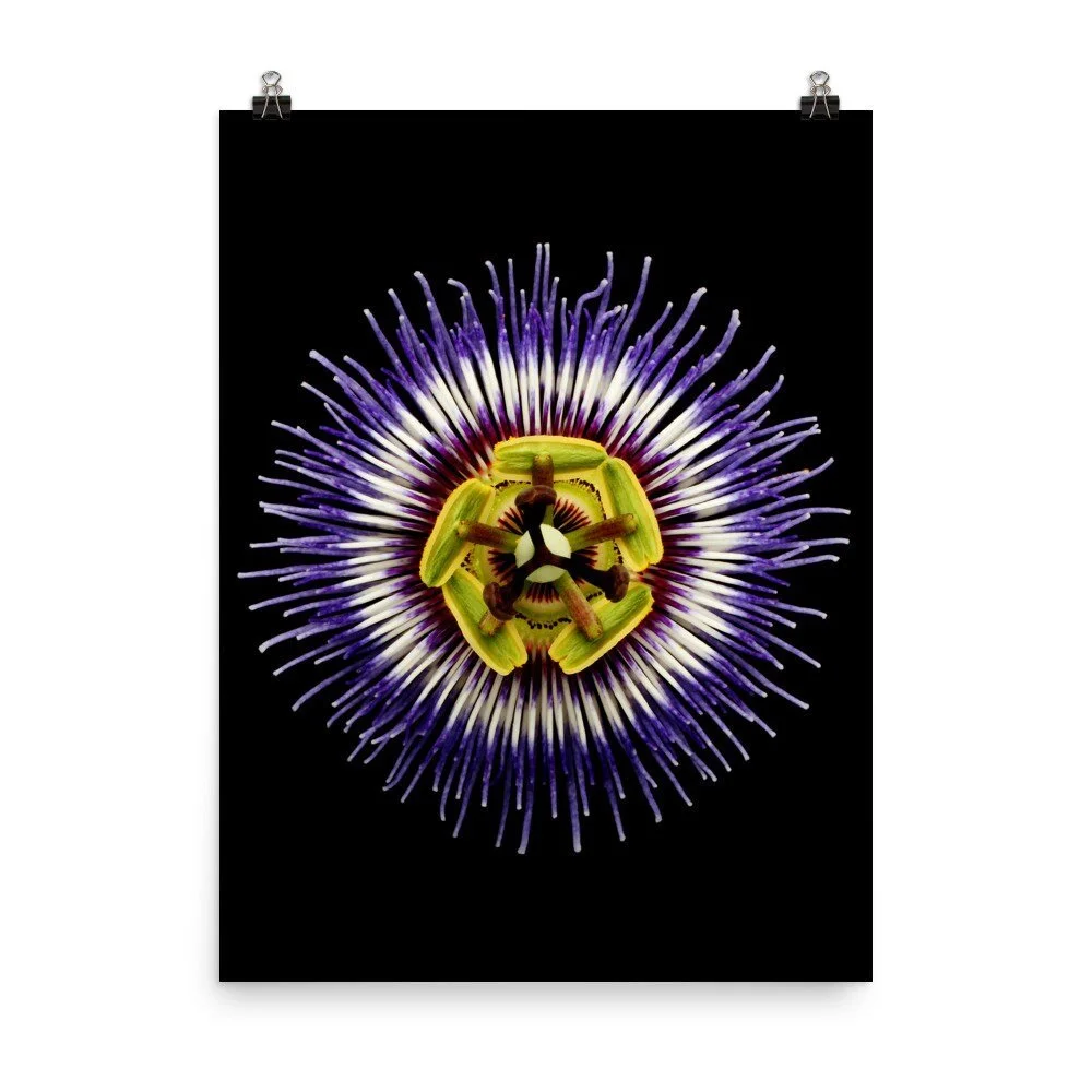 https://i.etsystatic.com/16519884/r/il/52e8a8/2264519915/il_fullxfull.2264519915_2pqj.jpg