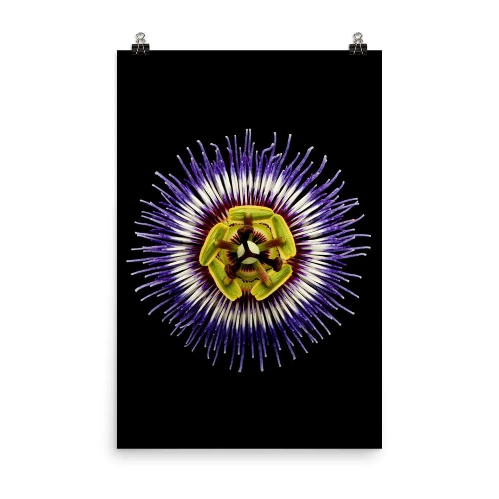 https://i.etsystatic.com/16519884/r/il/2ad60e/2216923988/il_fullxfull.2216923988_t9v2.jpg