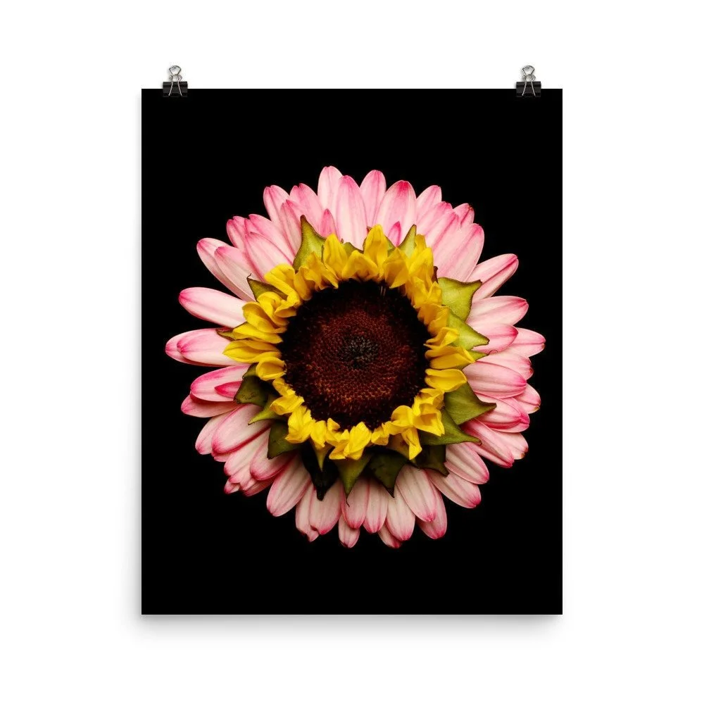 https://i.etsystatic.com/16519884/r/il/da8c13/2265357267/il_fullxfull.2265357267_ajgd.jpg
