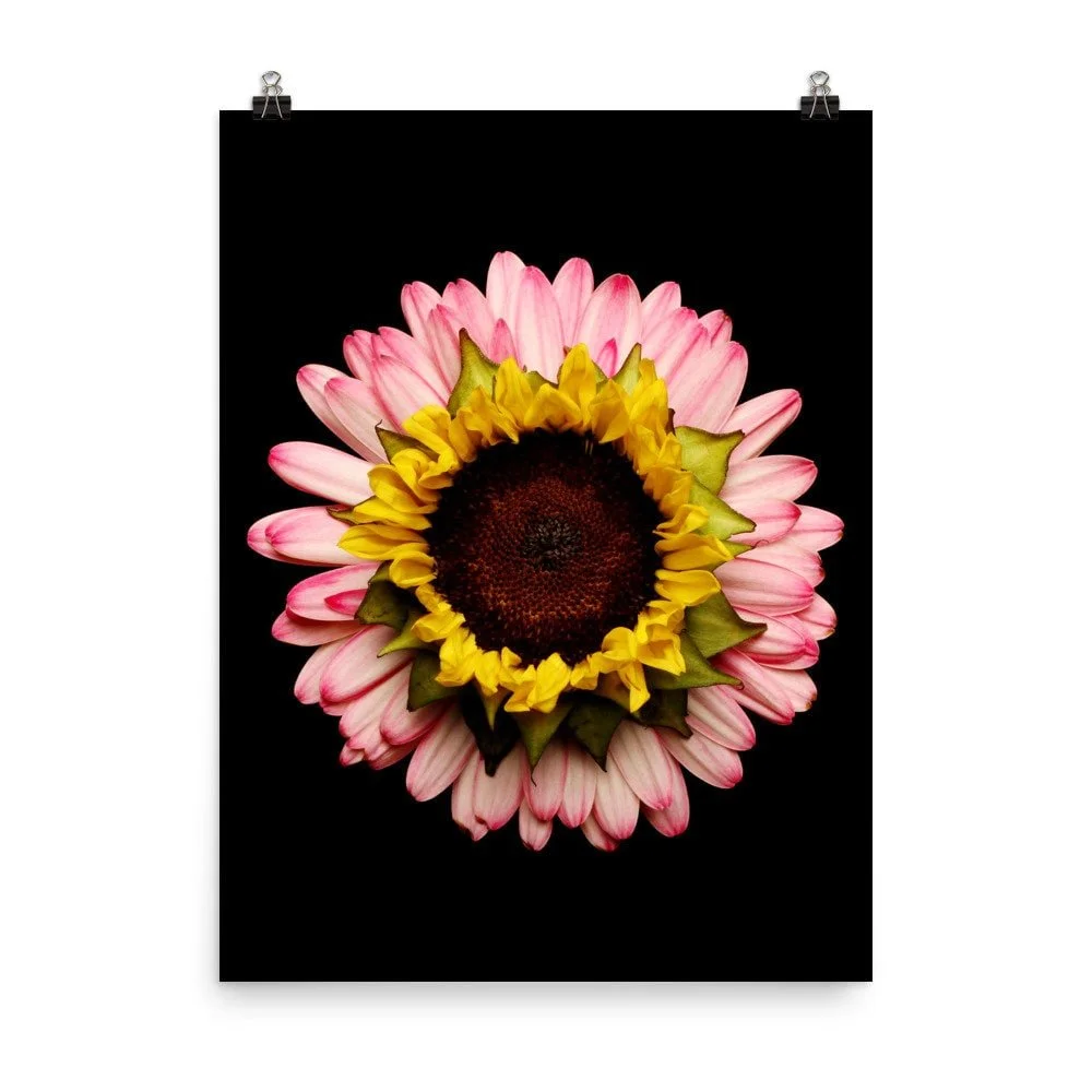 https://i.etsystatic.com/16519884/r/il/4936d0/2265356773/il_fullxfull.2265356773_mz1a.jpg