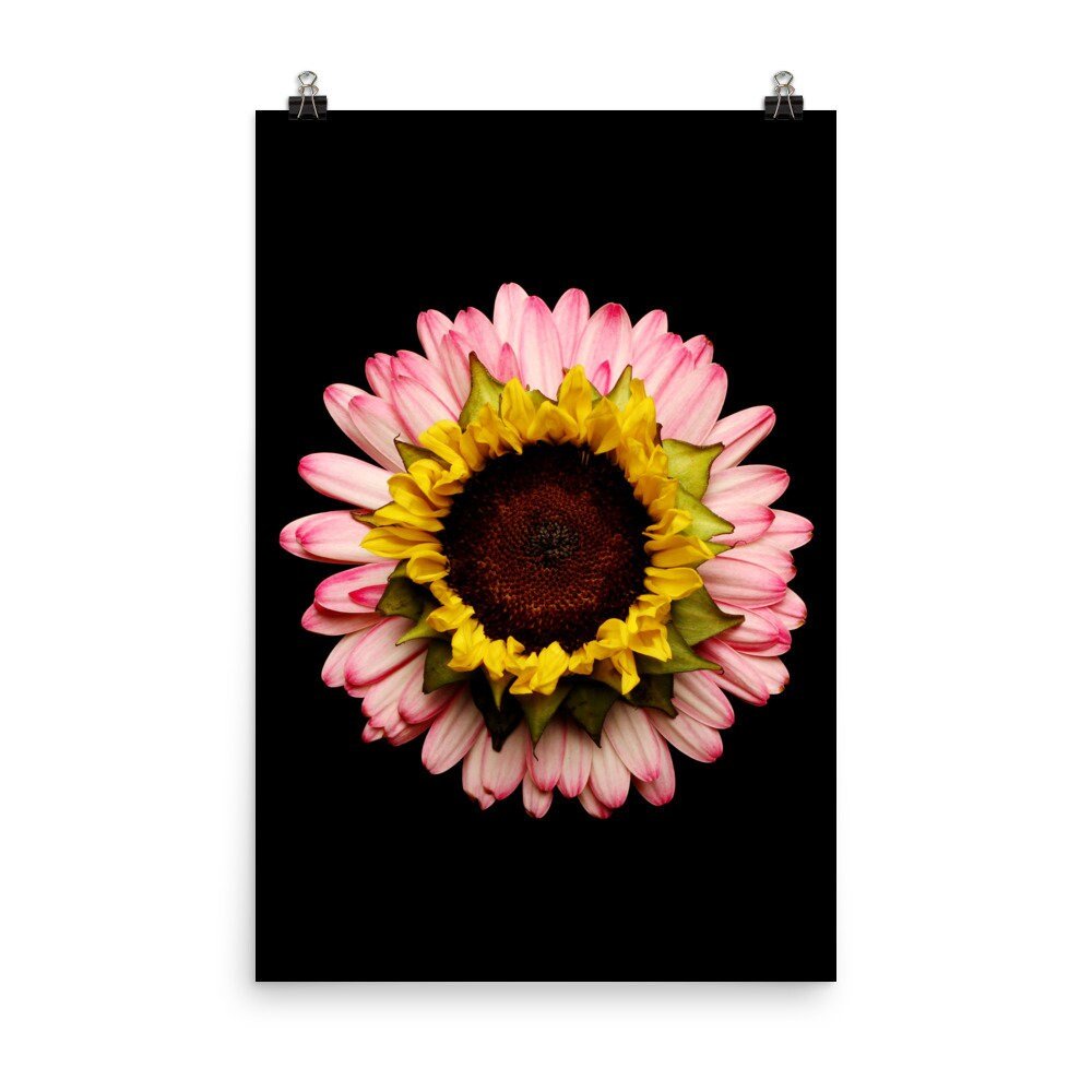 https://i.etsystatic.com/16519884/r/il/9f124d/2217760308/il_fullxfull.2217760308_eka7.jpg