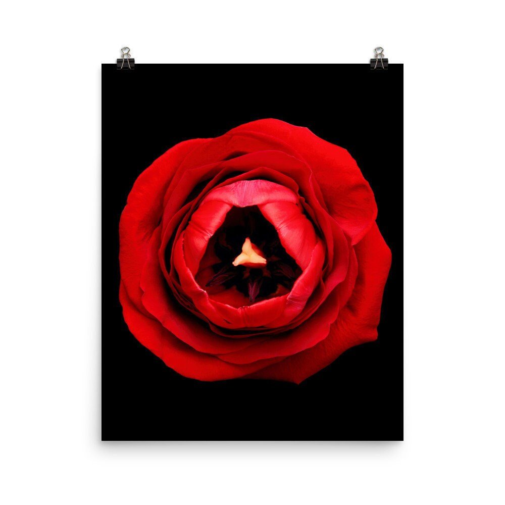 https://i.etsystatic.com/16519884/r/il/043e29/2265732691/il_fullxfull.2265732691_639g.jpg