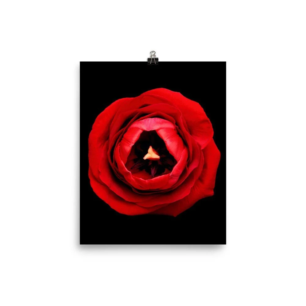 https://i.etsystatic.com/16519884/r/il/22132c/2218134638/il_fullxfull.2218134638_8weq.jpg