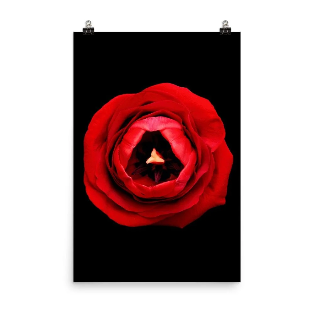 https://i.etsystatic.com/16519884/r/il/79c968/2218134574/il_fullxfull.2218134574_iox7.jpg