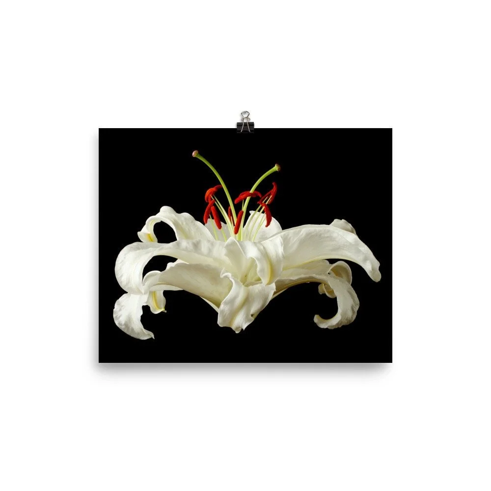 https://i.etsystatic.com/16519884/r/il/8e3e96/2236381606/il_fullxfull.2236381606_4jpx.jpg
