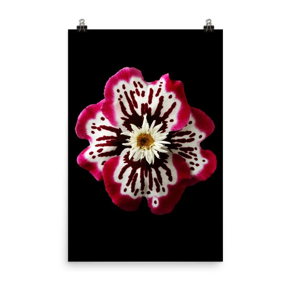 https://i.etsystatic.com/16519884/r/il/9d20d4/2238216010/il_fullxfull.2238216010_hody.jpg