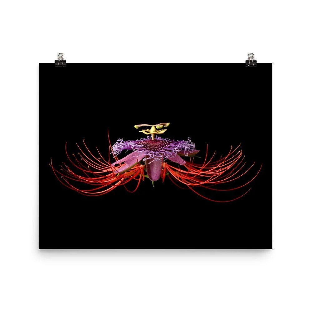 https://i.etsystatic.com/16519884/r/il/283b3c/2257351559/il_fullxfull.2257351559_9bzc.jpg