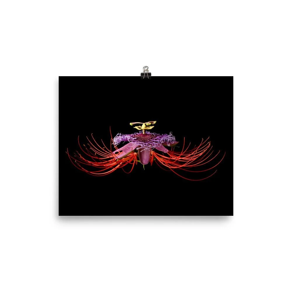 https://i.etsystatic.com/16519884/r/il/1bdec3/2209756384/il_fullxfull.2209756384_ar33.jpg
