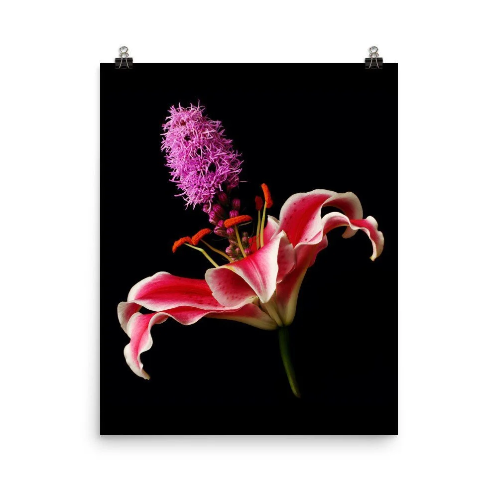 https://i.etsystatic.com/16519884/r/il/4fb2e5/2257443377/il_fullxfull.2257443377_kqdc.jpg