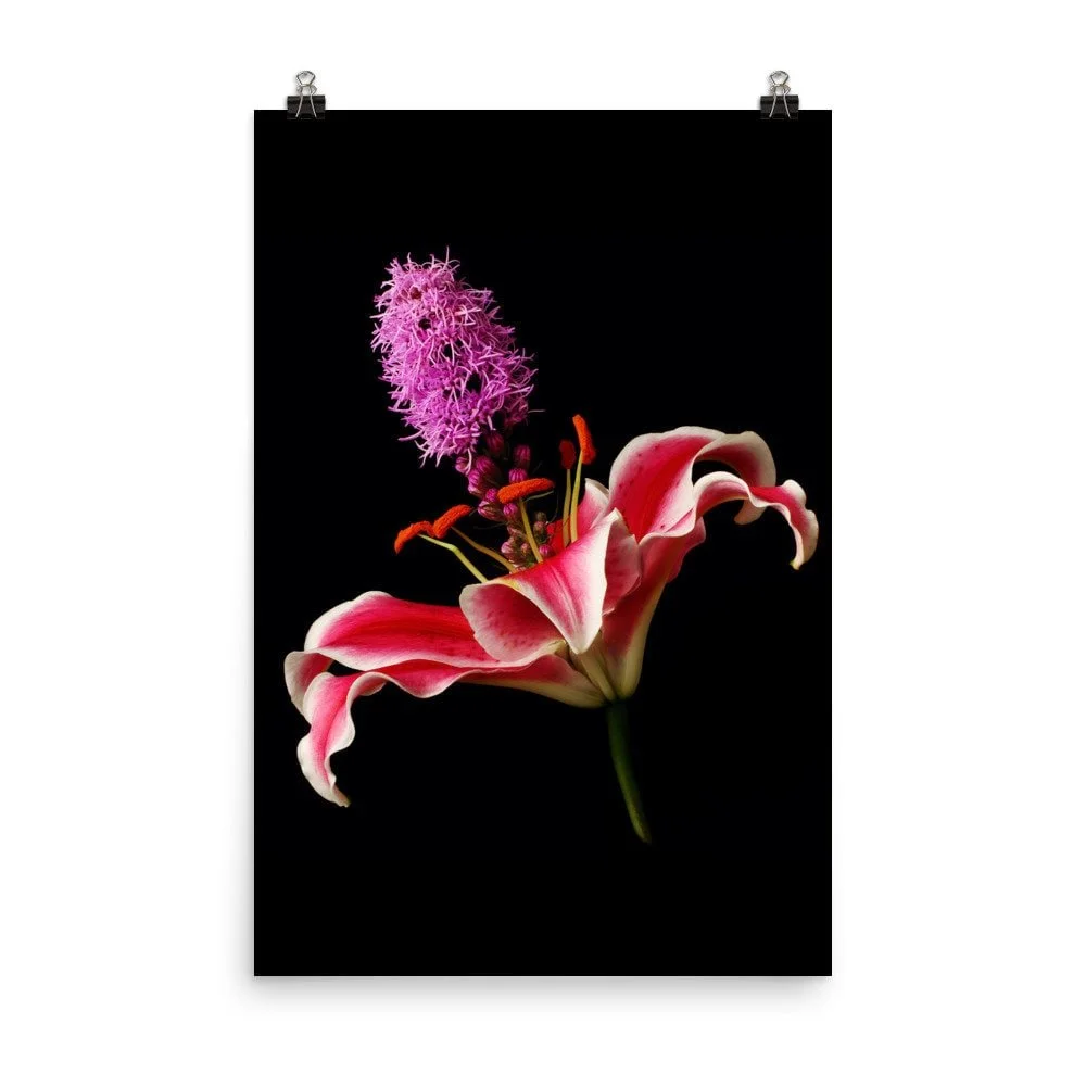 https://i.etsystatic.com/16519884/r/il/6fe163/2257442807/il_fullxfull.2257442807_hm0i.jpg