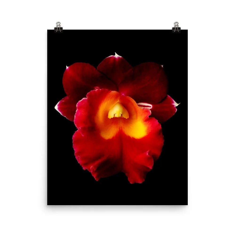 https://i.etsystatic.com/16519884/r/il/c15193/2257313289/il_fullxfull.2257313289_5f48.jpg